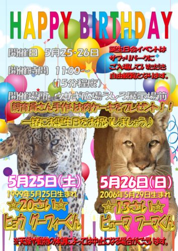 ヒョウ ピューマ誕生日会のコピー 岩手サファリパーク 天空のサバンナ 岩手県一関市のサファリパーク